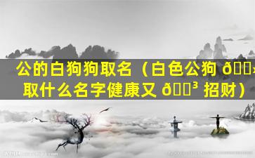 公的白狗狗取名（白色公狗 🌻 取什么名字健康又 🌳 招财）